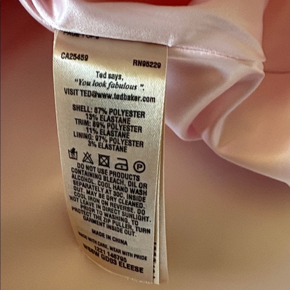 Ted Baker Pale Pink Dress with Sheer Stripe Accents 3 - Picture 5 of 6